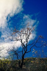 DSC02316.jpg