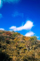 DSC02313.jpg