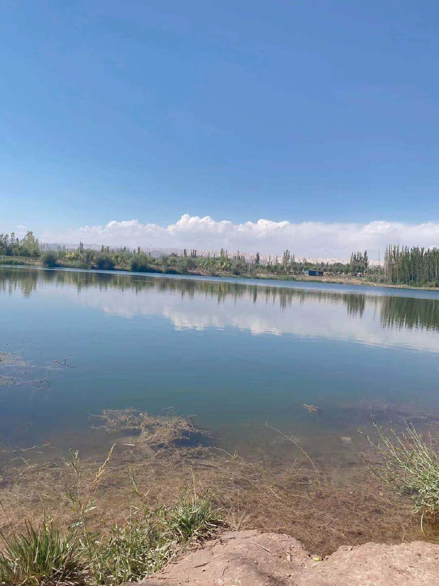 喀什地区喀什市北湖风景 - 花铃-524