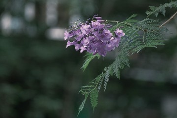D26C76D9-68CB-45DB-BB66-81E8A0D64125/L0/001
