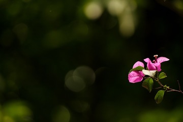 308A67D5-F2EA-4EE2-9412-4C64DB5495FC/L0/001