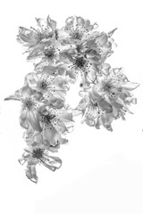 190760