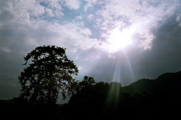 00310024.JPG