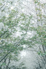 EF31E06B-6A9D-45E1-9D79-75118F479DBF/L0/001
