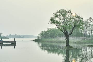 vitodesign_DSC7450