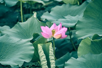 001