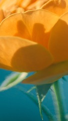 0E1D3944-308C-41F2-B50B-7FA764E48E88/L0/001