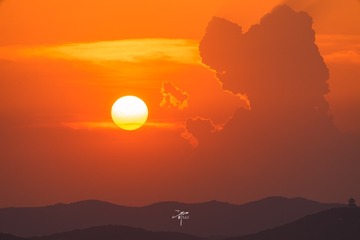 _DSC2295