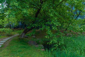D8582D30-BD02-4FBB-A045-D951EA983E5D/L0/001