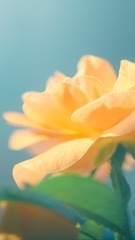 FF9F8A7B-3A4F-4398-A2FC-FFC0452C876C/L0/001