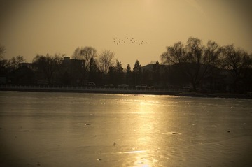 IMGP3108.jpg