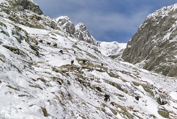 IMGP3093.jpg