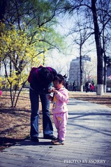 IMGP3350.jpg