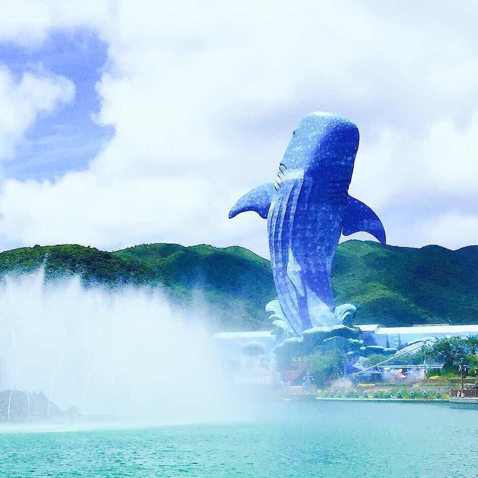 珠海横琴海洋公园头像