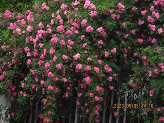E88726BF-65B4-4C79-9500-8047567E97CB/L0/001