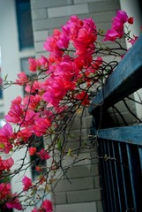 20101109-_DSC0687.jpg