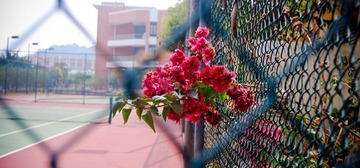 20101124-_DSC0912.jpg