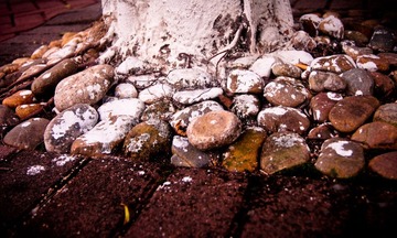 20101126-_DSC0929.jpg
