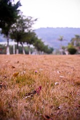 20101126-_DSC0939.jpg