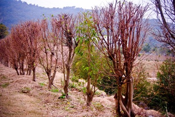 20101126-_DSC0957.jpg