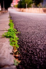 20101126-_DSC0963.jpg