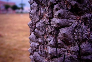 20101126-_DSC0971.jpg
