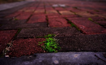 20101126-_DSC0995.jpg