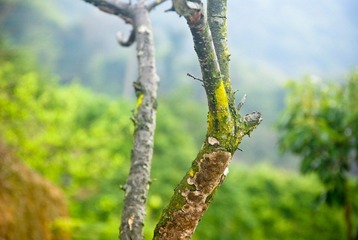 鞋-5-2.jpg