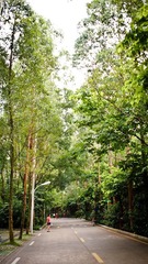 P8110370-2.jpg