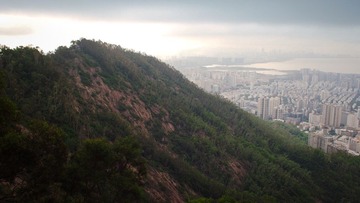 P8110417.jpg