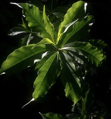 IMAG0497.jpg