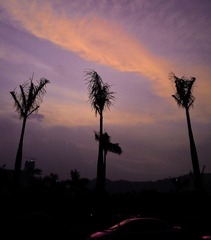 IMAG0647.jpg
