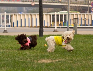 IMG_5676.jpg