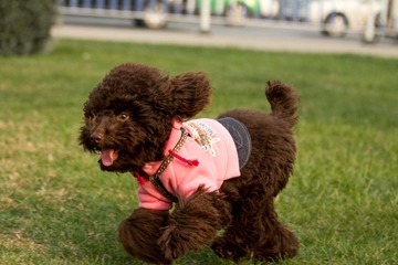IMG_5741.jpg