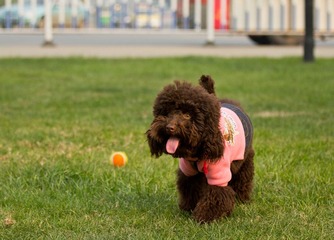 IMG_5753.jpg