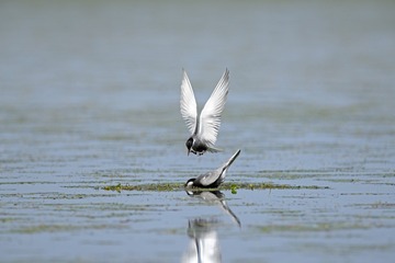 DSC_0573.jpg