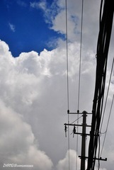 DSC_2918.jpg