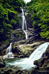 DSC_0945.jpg