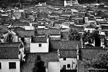 chongDSC_0392 (36)