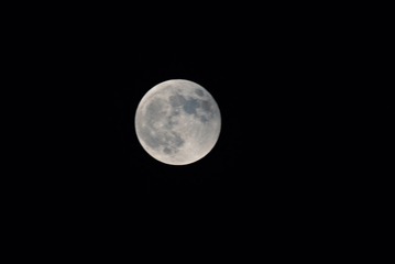 D7090FCD-894E-4617-8CF5-23B0FB161B19/L0/001