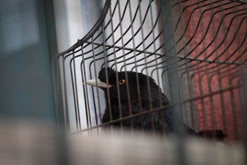 20111030-IMG_1582.jpg