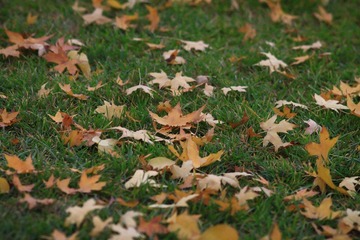 20111105-IMG_1810.jpg