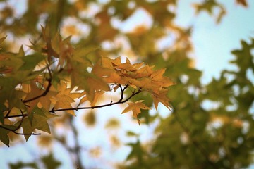 20111007-IMG_1217.jpg