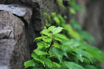 IMG_2871.JPG