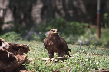 IMG_3052.JPG
