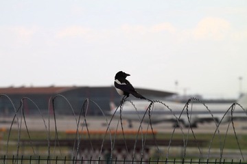 IMG_3620.JPG