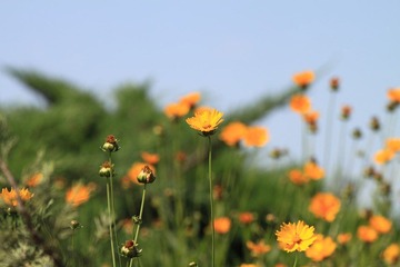 IMG_3667.JPG