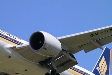 IMG_3679.JPG