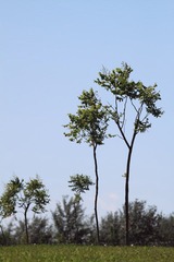 IMG_3725.JPG