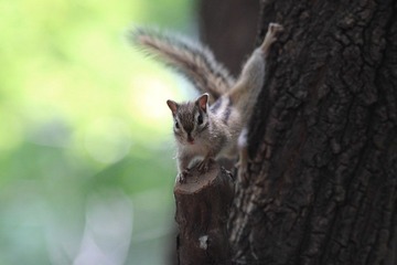 IMG_4032.JPG